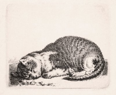 स्लीपिंग कैट, c.1607-81 द्वारा कॉर्नेलिस सैफ्टलवेन