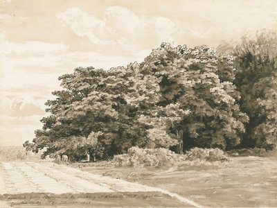 व्रोटेस्ले हॉल - द श्रॉबरी: सीपिया ड्राइंग, 1820 द्वारा कॉर्नेलियस वर्ली