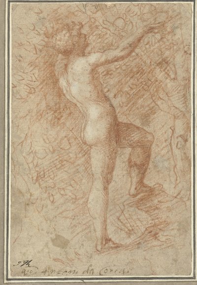  द्वारा Correggio