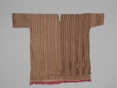 बाजू का अंगरखा, c.1300-1470 (कपास और ऊंट फाइबर) द्वारा संस्कृति चिमु