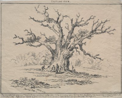 फेयरलोप ओक, 1811। द्वारा डीएच रेडमैन
