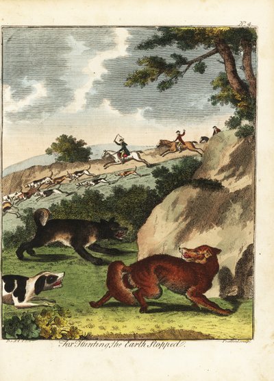  द्वारा डेनियल (बाद में) डोड्डो
