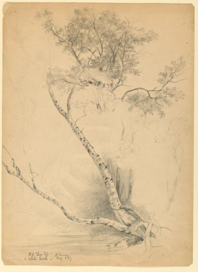 ओल्ड एल्म टॉप और व्हाइट बर्च, नॉर्थ कॉनवे, न्यू हैम्पशायर द्वारा डैनियल हंटिंगटन