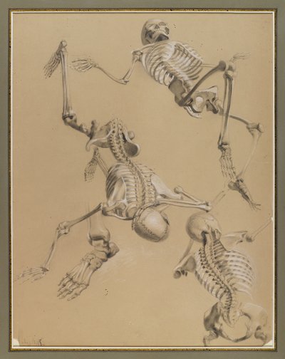 कंकाल का अध्ययन, 1848 (कागज पर चाक) द्वारा डैनियल हंटिंगटन