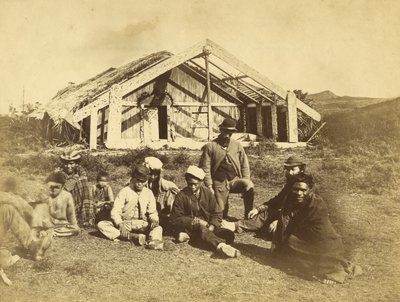 कोवाइटिस रूंगुंगा हाउस, वियोनियो, बे ऑफ आईलैंड्स, सी .1870 (एल्बम प्रिंट) द्वारा डैनियल लुइस मुंडी