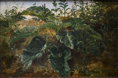  द्वारा डंकवार्ट ड्रेयर