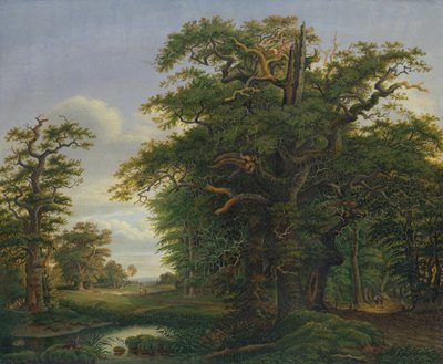 ओक वुड, 1847 द्वारा डेविड क्रिस्टोफर मेट्टलरकैंप
