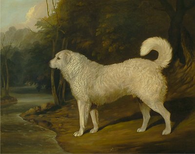  द्वारा David Dalby of York