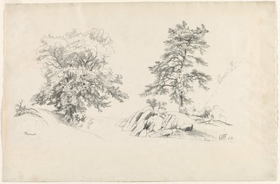 चेस्टनट और पाइन, 1869। द्वारा डेविड जॉनसन