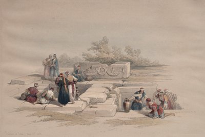  द्वारा डेविड रॉबर्ट्स