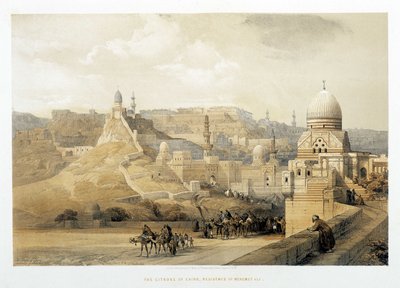 काहिरा का गढ़, "द होली लैंड", लंदन 1849 में मेहमत अली का महल। द्वारा डेविड रॉबर्ट्स