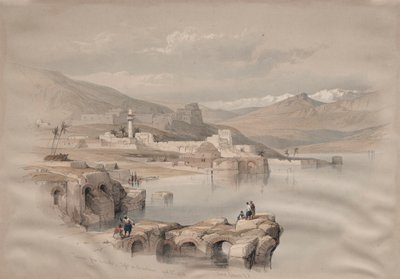  द्वारा डेविड रॉबर्ट्स