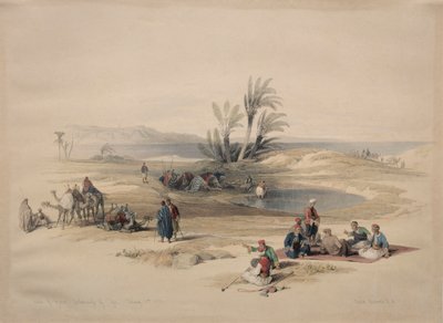वेल्स के कुएं, 1839 में टायह के जंगल। द्वारा डेविड रॉबर्ट्स