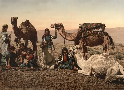 रेगिस्तान में ऊंटों का हाल्टिंग, पवित्र भूमि, c.1890 (फोटोमैकेनिकल प्रिंट) द्वारा डेट्रोइट फोटोग्राफिक कंपनी