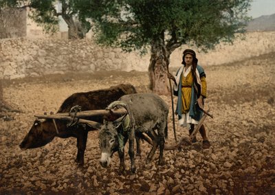  द्वारा डेट्रोइट फोटोग्राफिक कंपनी