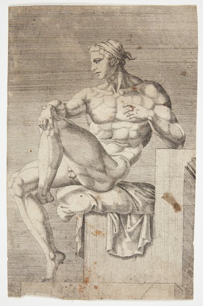  द्वारा Maarten van Heemskerck