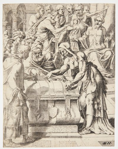 विधवा का घुन द्वारा Maarten van Heemskerck