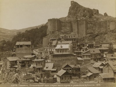 त्बिलिसी द्वारा दिमित्री इवानोविच यरमकोव