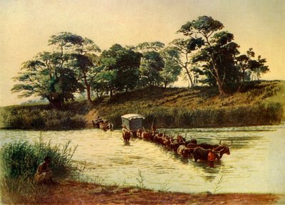 उम्बेलोइस नदी-स्वाज़ीलैंड पर एक बहाव को पार करते हुए बैलगाड़ी, 1902। द्वारा डोनाल्ड मैकक्रैकेन