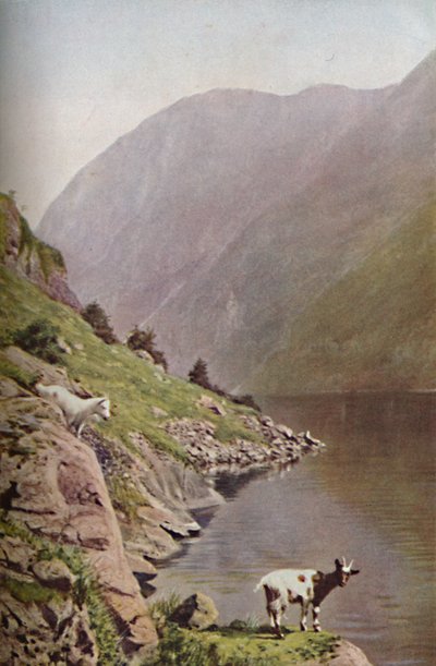 नॉर्वे, c1930s द्वारा डोनाल्ड मैकलेश