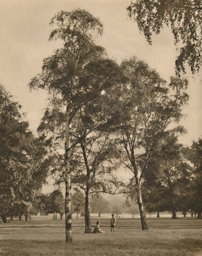 द लेव्स-वर्क ऑफ़ द लेव्स: ए समर मॉर्निंग इन हाइड पार्क, c1935। द्वारा डोनाल्ड मैकलेश