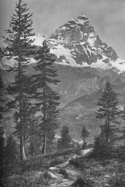 द इटालियन फ्रॉम द इटैलियन साइड, फॉरेस्ट ऑफ ब्रूइल, 1917 द्वारा डोनाल्ड मैकलेश