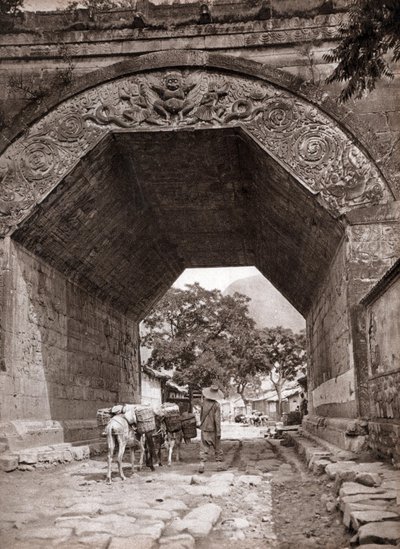  द्वारा डोनाल्ड मेनी