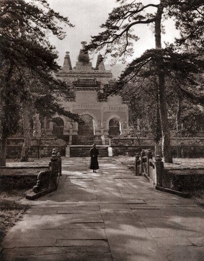  द्वारा डोनाल्ड मेनी