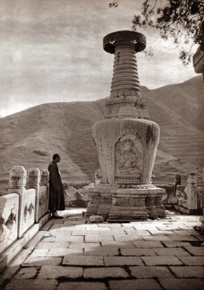  द्वारा डोनाल्ड मेनी