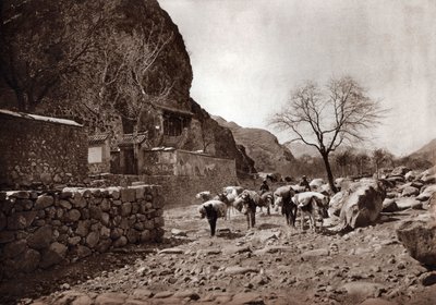  द्वारा डोनाल्ड मेनी