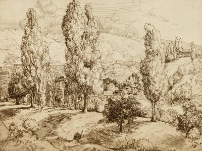  द्वारा डोनाल्ड शॉ MacLaughlan
