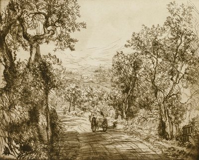  द्वारा डोनाल्ड शॉ MacLaughlan