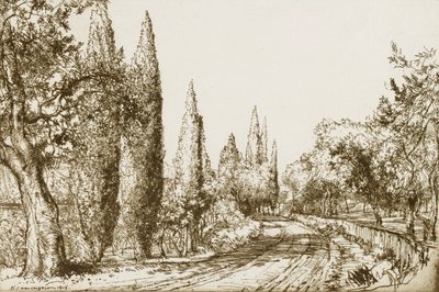  द्वारा डोनाल्ड शॉ MacLaughlan