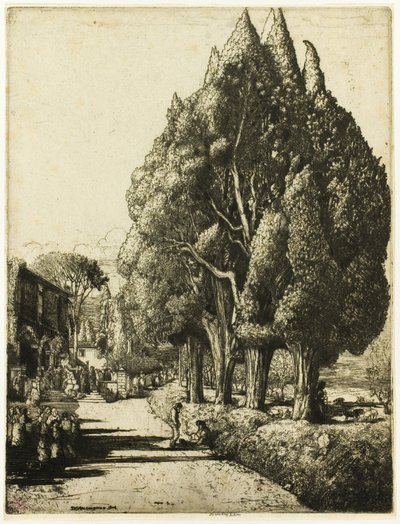  द्वारा डोनाल्ड शॉ MacLaughlan