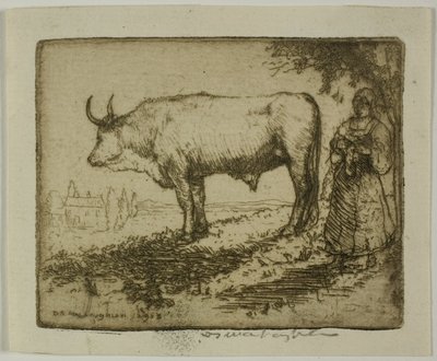 सफेद बैल द्वारा डोनाल्ड शॉ MacLaughlan