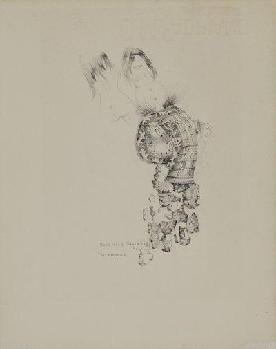  द्वारा डोनाटेला मेर्लो