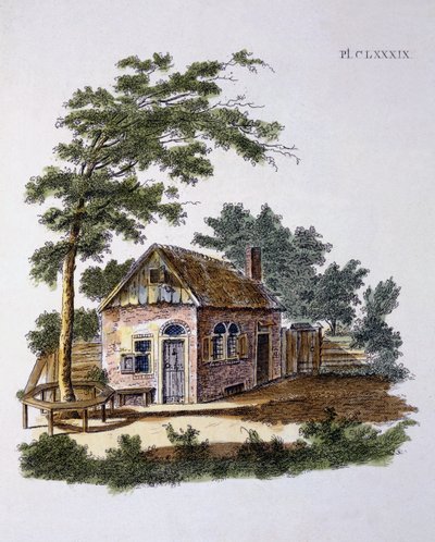 जी वैन लार द्वारा पत्रिका गार्डन ऑफ कॉटेज से प्रकाशित, 1802 प्रकाशित द्वारा डच स्कूल