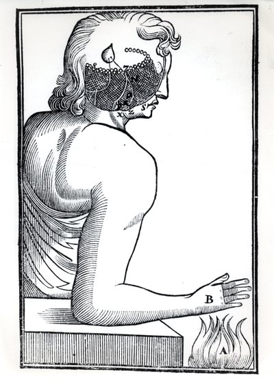 रेन्स डेसकार्टेस (1596-1650) द्वारा डे होमाइन फिगर्स ऑफ़ द सेन्स की धारणा, एम्स्टर्डम, 1677 में प्रकाशित द्वारा डच स्कूल