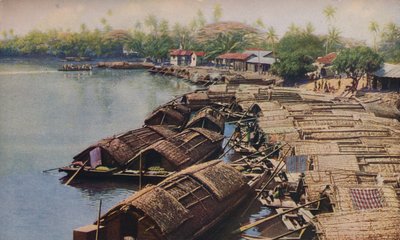 सीलोन ..., c1920 द्वारा ENA