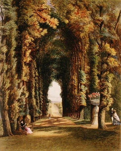 'विस्टा' इन द गार्डन्स एट टेडेस्ले, 'द गार्डन्स ऑफ़ इंग्लैंड' से, 1857 में प्रकाशित (कलर लिथो) द्वारा ई। एडवेनो ब्रुक