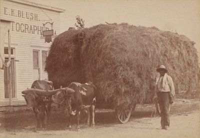 1894-1904 में एक पूरी घास की गाड़ी के साथ एक आदमी का एल्बमन प्रिंट। द्वारा ईके ब्लश