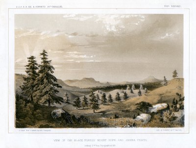 द ब्लैक फॉरेस्ट माउंट होप और सिएरा प्रीटा, यूएसए, 1856। द्वारा ई स्टाउट