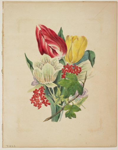 फ्लोरा की डिक्शनरी, 1838 से ट्यूलिप का गुलदस्ता द्वारा E. W. Wirt