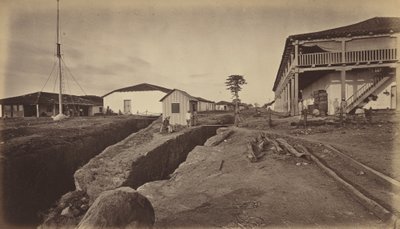 एकजुटला, 1877। द्वारा एडवियर्ड मुयब्रिज