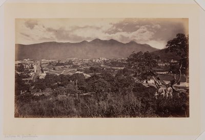  द्वारा एडवियर्ड मुयब्रिज