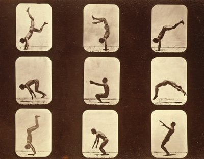 एथलीट। फ्लिप फ्लैप 'एनिमल लोकोमोशन' सीरीज, c.1881 (b/w फोटो) द्वारा एडवियर्ड मुयब्रिज
