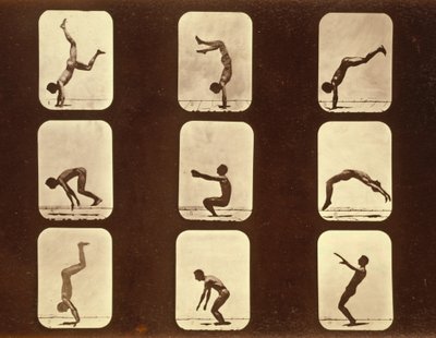 एथलीट। &39;एनिमल लोकोमोशन&39; सीरीज़ से अनियमित, c.1881 द्वारा एडवियर्ड मुयब्रिज