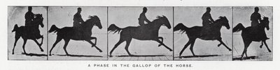 Eadweard Muybridge: घोड़े की सरपट में एक चरण (b/w फोटो) द्वारा एडवियर्ड मुयब्रिज