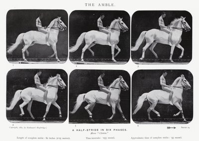 एडरवियर Muybridge: द एम्बल द्वारा एडवियर्ड मुयब्रिज