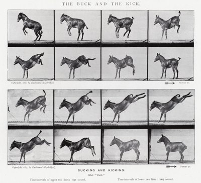 एडवेर्ड मुयब्रिज: द बक एंड द किक (बी / डब्ल्यू फोटो) द्वारा Eadweard Muybridge